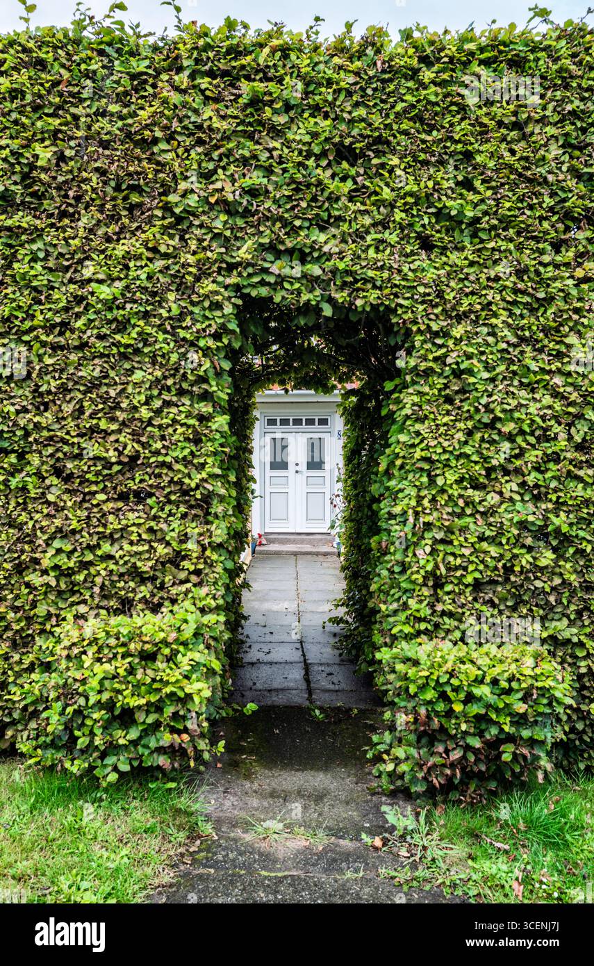 Bellissimo ingresso al giardino coperto di vegetazione, che mostra un pittoresco sentiero che conduce ad una tranquilla e invitante porta bianca, che offre un armonioso e vivace Foto Stock
