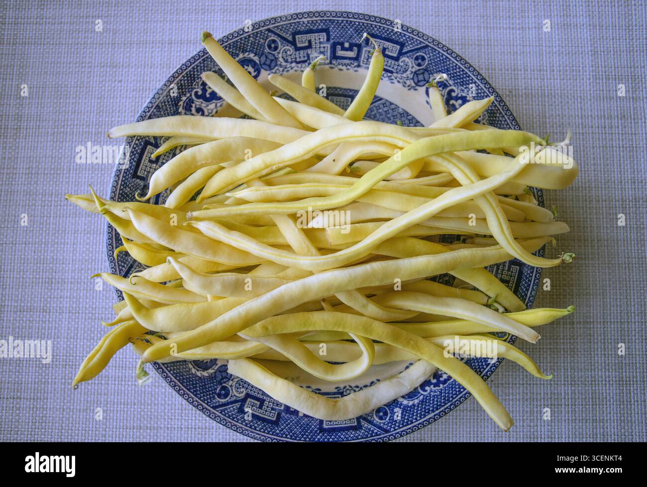 Fagioli gialli appena raccolti su un piatto di salice Foto Stock