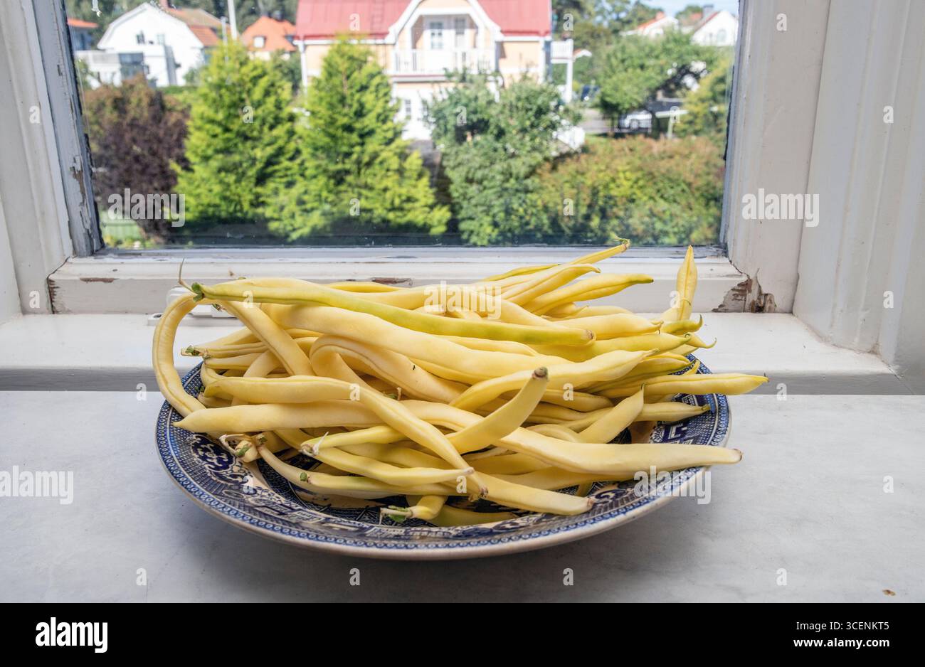 Fagioli gialli appena raccolti su un piatto di salice nella finestra Foto Stock