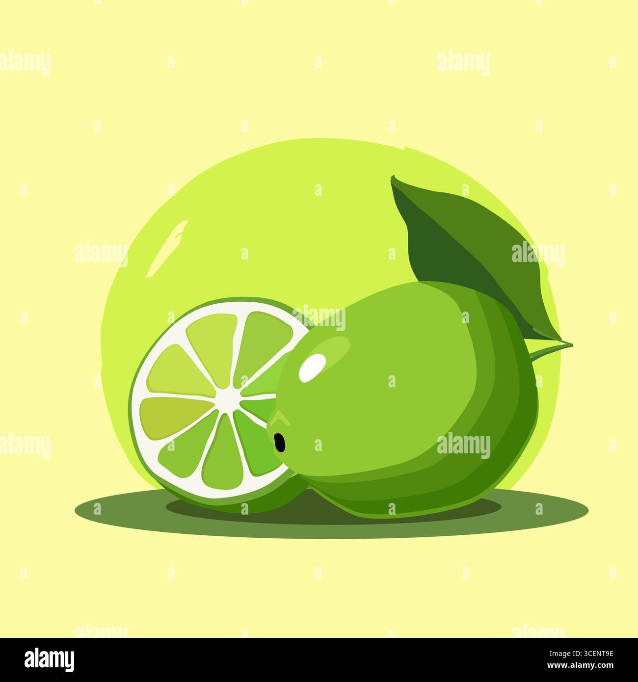Limone verde succoso e sano. Illustrazione del frutto vettoriale in stile piatto. Clipart estivo per il design della dieta Illustrazione Vettoriale