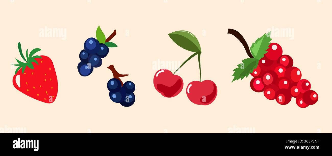 La vivace illustrazione presenta una collezione di frutti, che mostrano una fragola matura, gruppi di mirtilli, ciliegie rosse brillanti e uva succosa Illustrazione Vettoriale