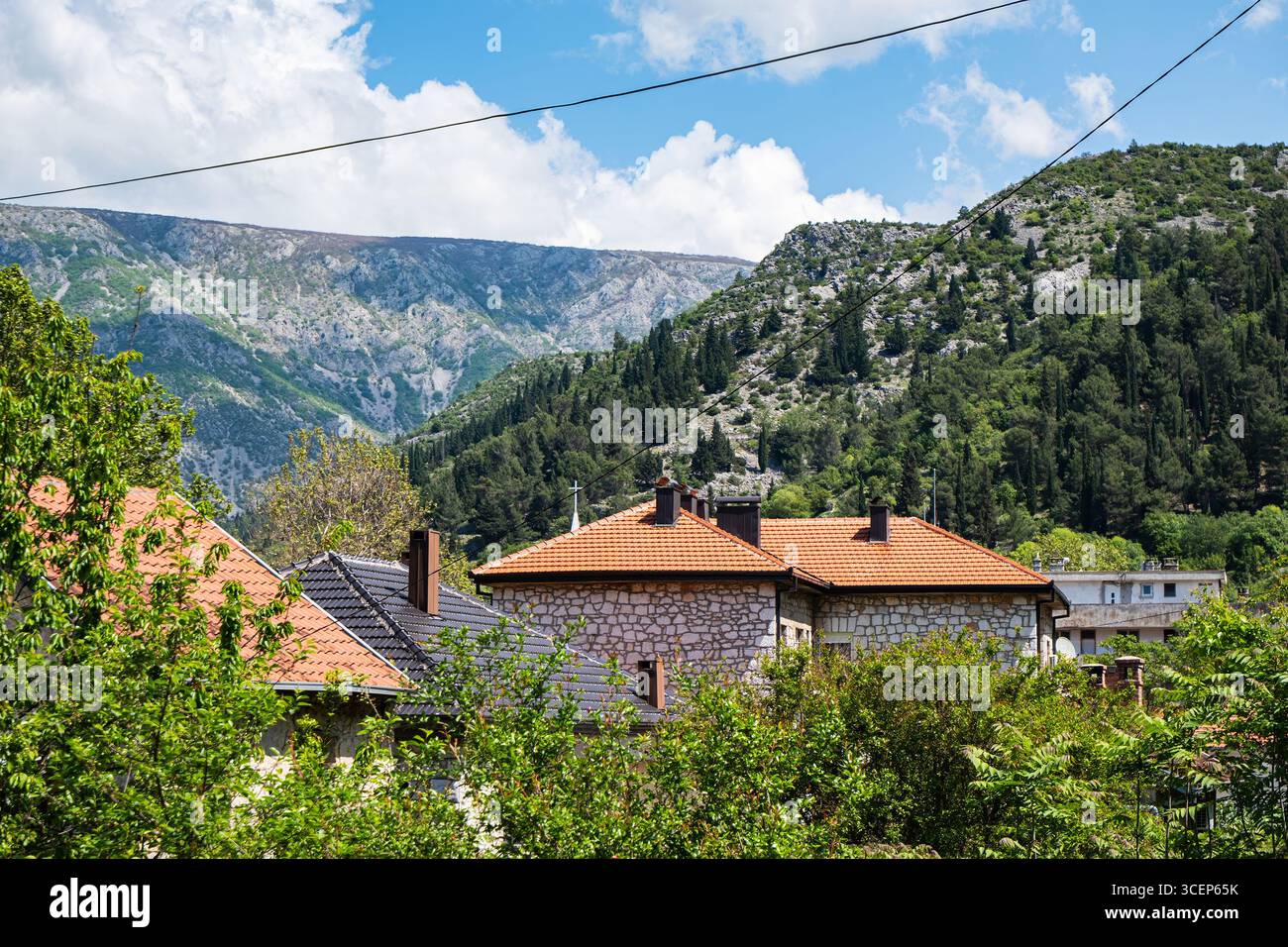 Vista panoramica delle case tradizionali con tetti rossi circondati da lussureggianti alberi verdi e montagne Foto Stock