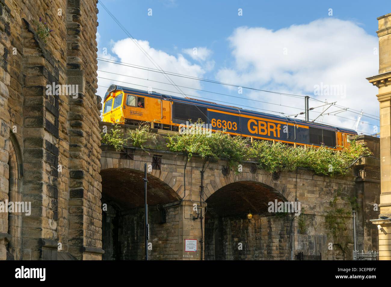 GBRF locomotive train 66303 , Castle Garth Railway bridge, Newcastle upon Tyne, Tyne and Wear, Inghilterra, Regno Unito, Mae della General Motors Foto Stock