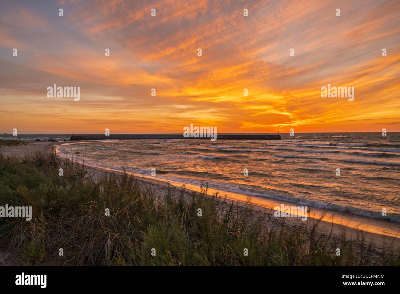 Area costiera protetta: Dune di sabbia ricoperte di erba Foto Stock