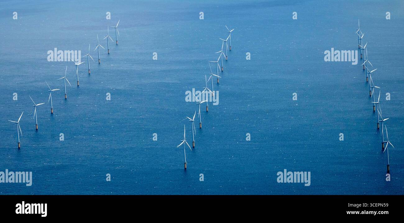 Parco eolico al largo della foce del Tees Estuary, Inghilterra nord-orientale, Regno Unito, sparato dall'aria Foto Stock