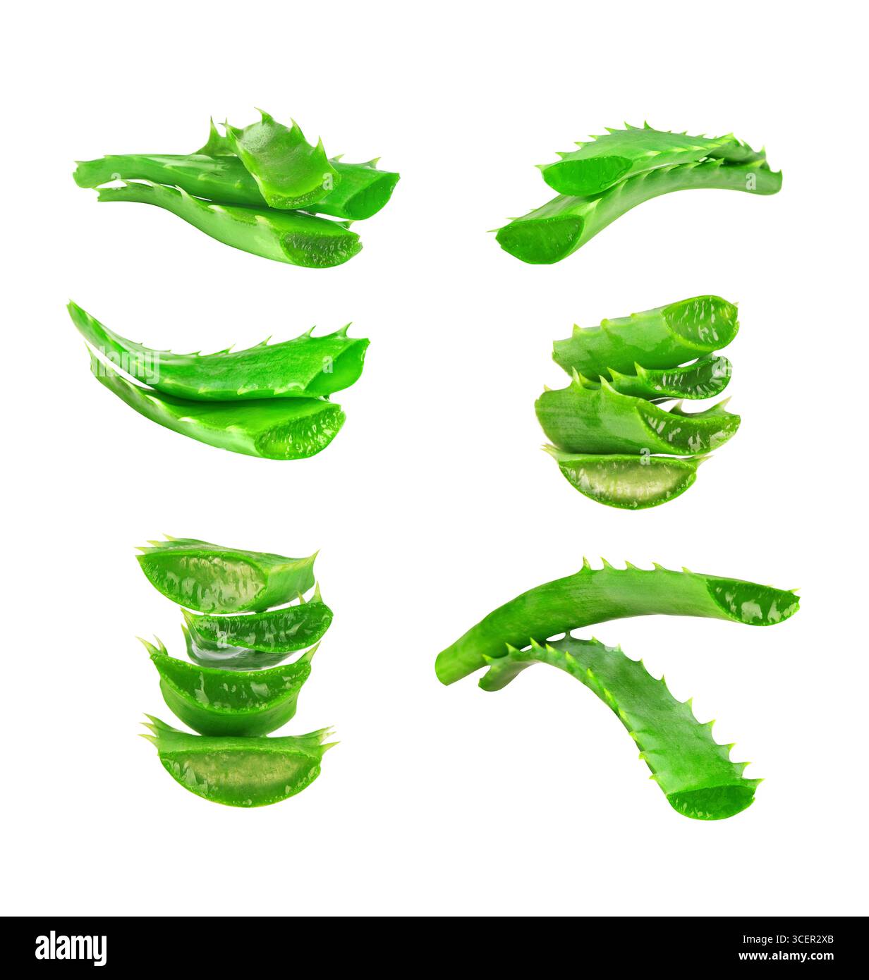 Set di steli di aloe vera su sfondo bianco Foto Stock