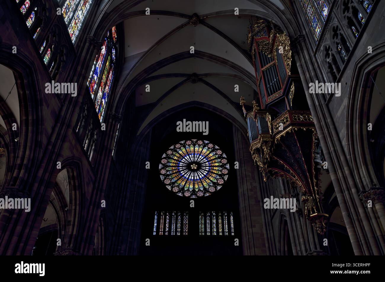 Vista interna, grande rosone sulla facciata ovest e organo a navata di Andreas Silbermann, Cattedrale Notre-Dame, Strasburgo, città vecchia, B Foto Stock