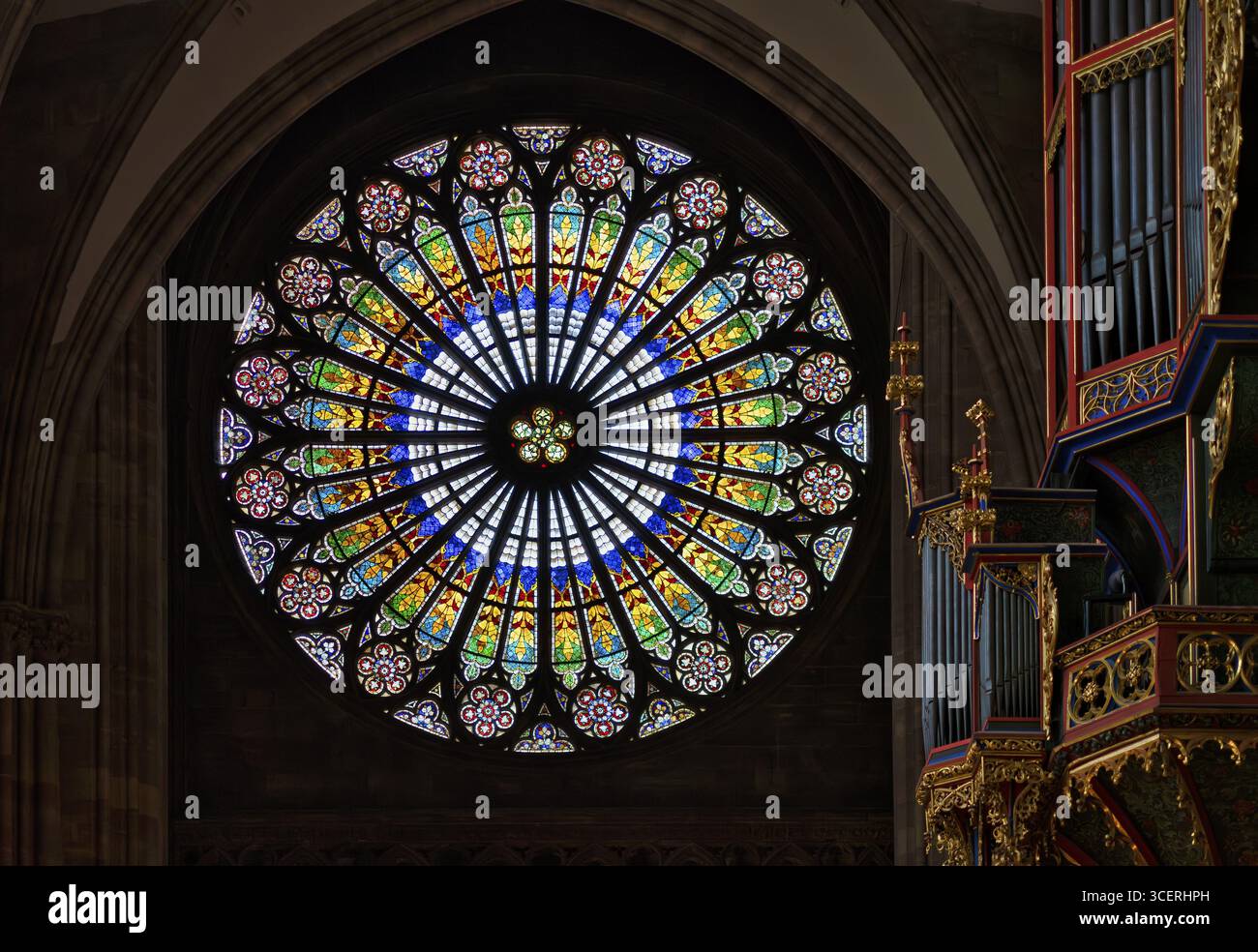 Vista interna, grande rosone sulla facciata ovest e organo a navata di Andreas Silbermann, Cattedrale Notre-Dame, Strasburgo, città vecchia, B Foto Stock