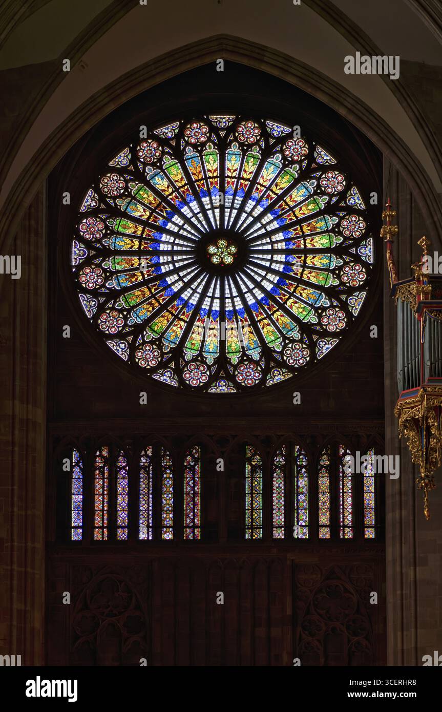 Vista interna, grande rosone sulla facciata ovest e organo a navata di Andreas Silbermann, Cattedrale Notre-Dame, Strasburgo, città vecchia, B Foto Stock