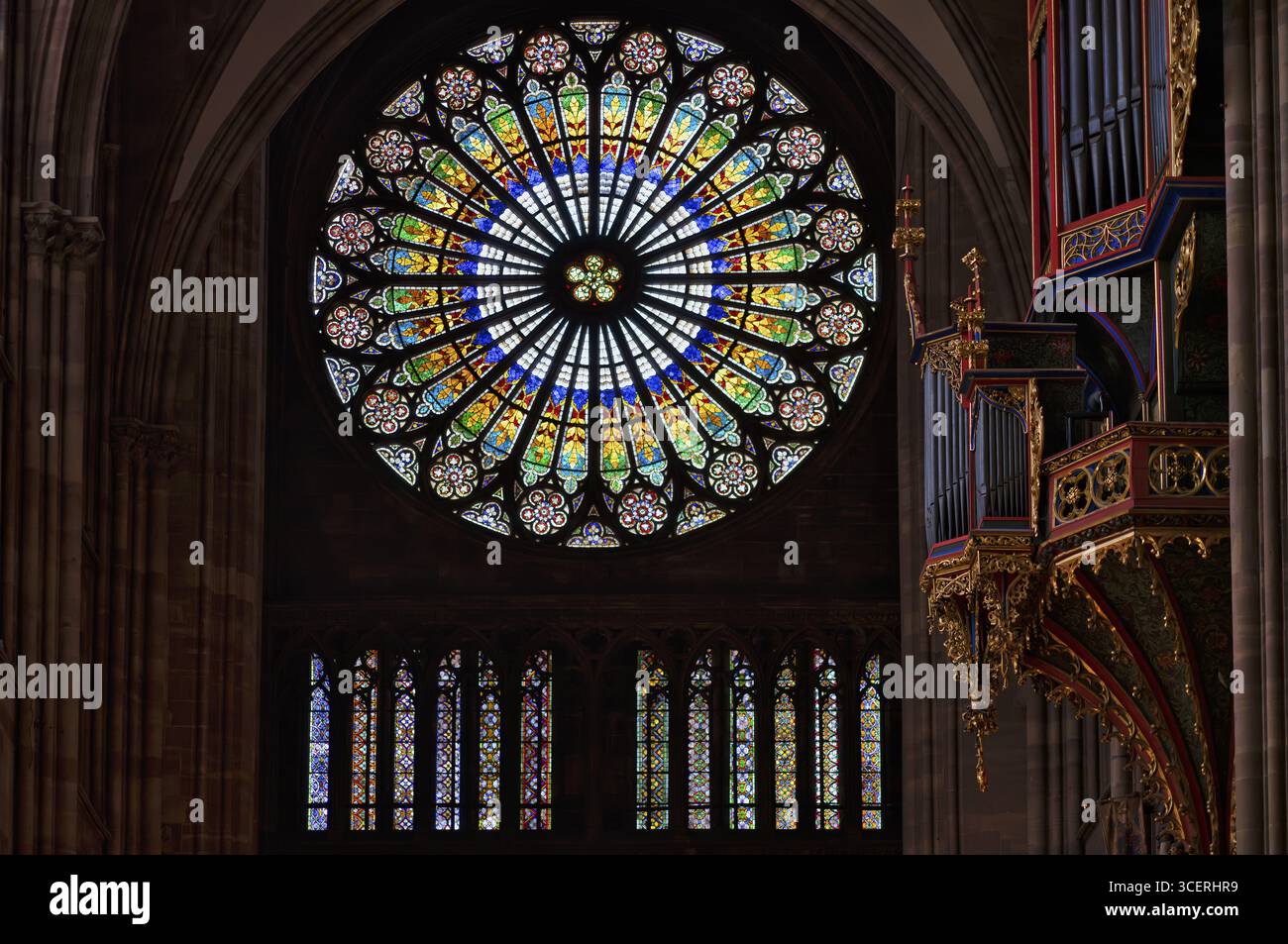 Vista interna, grande rosone sulla facciata ovest e organo a navata di Andreas Silbermann, Cattedrale Notre-Dame, Strasburgo, città vecchia, B Foto Stock