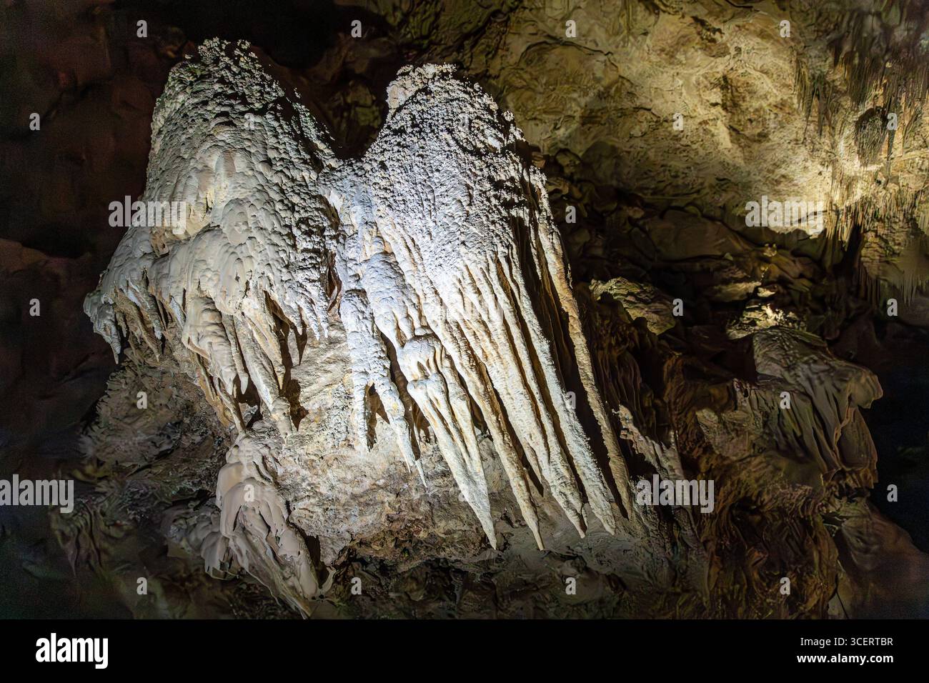 Formazioni calcaree nella Mammoth Cave, Boranup, Margaret River Region, Contea di Augusta nella regione SW dell'Australia Occidentale WA Foto Stock