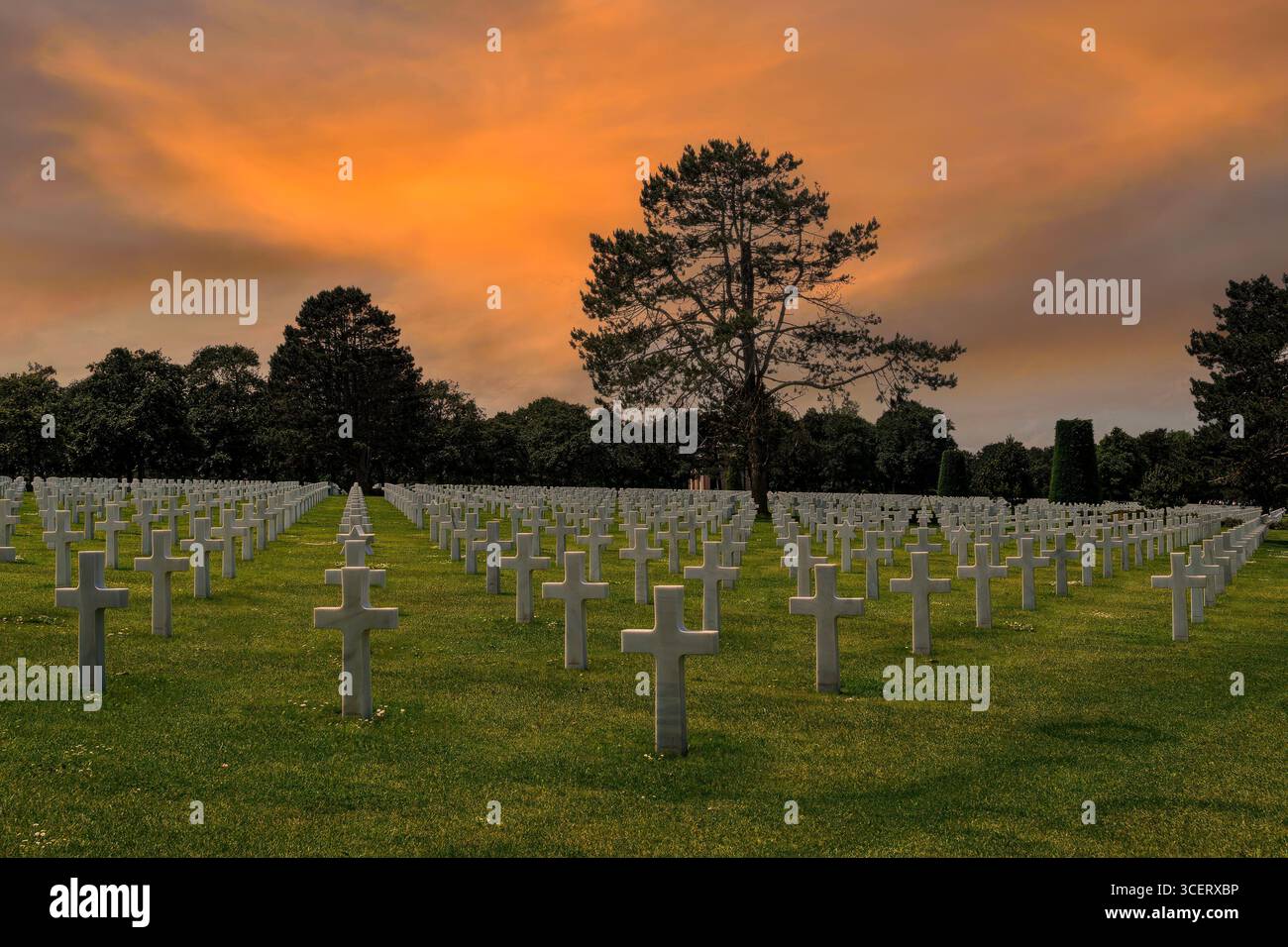 Lapidi allineate al cimitero americano della Normandia che rendono omaggio agli eroi caduti nella seconda guerra mondiale Foto Stock