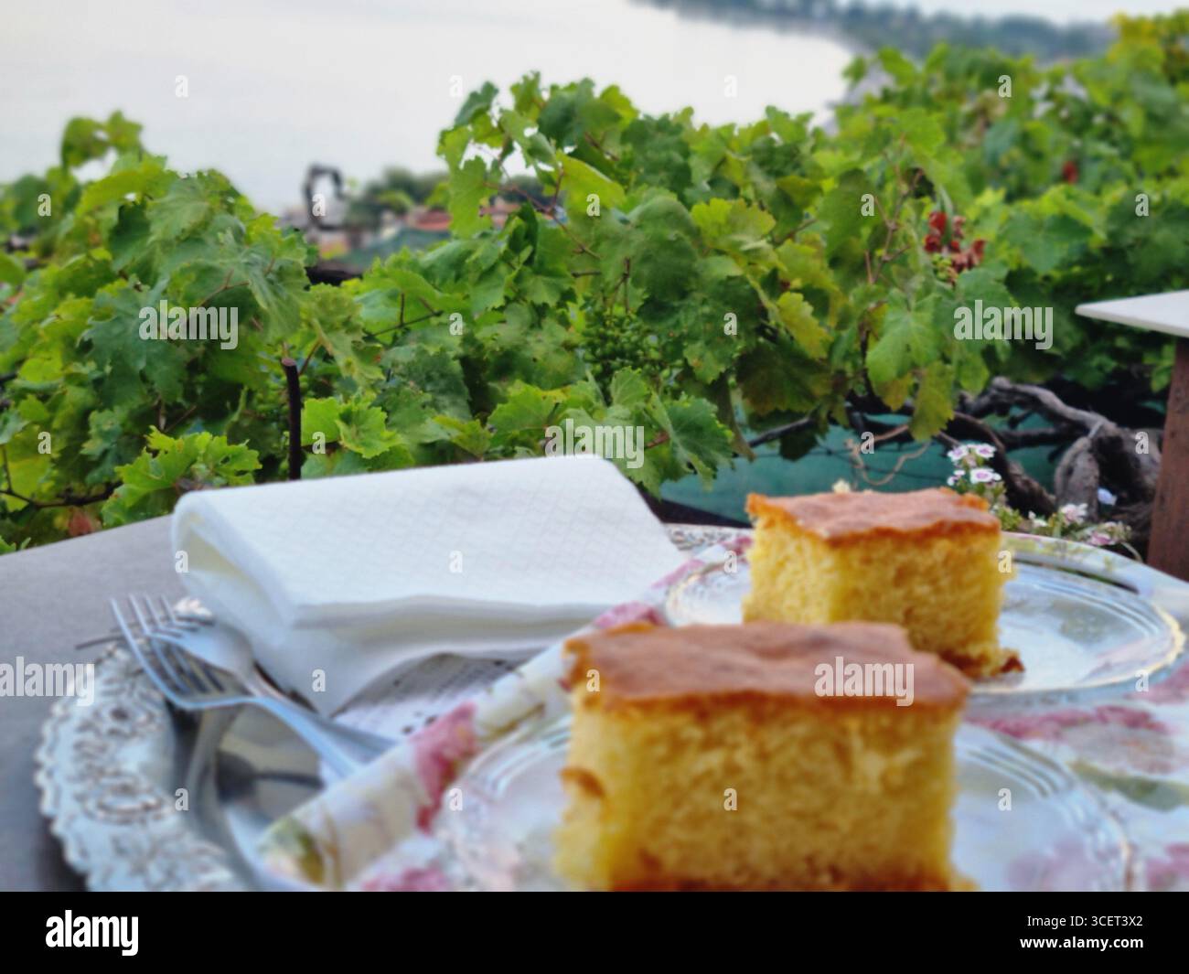 Due fette di torta tradizionale greca su piatti con vigneti e fondo marino - Immagine stock catturata con smartphone
