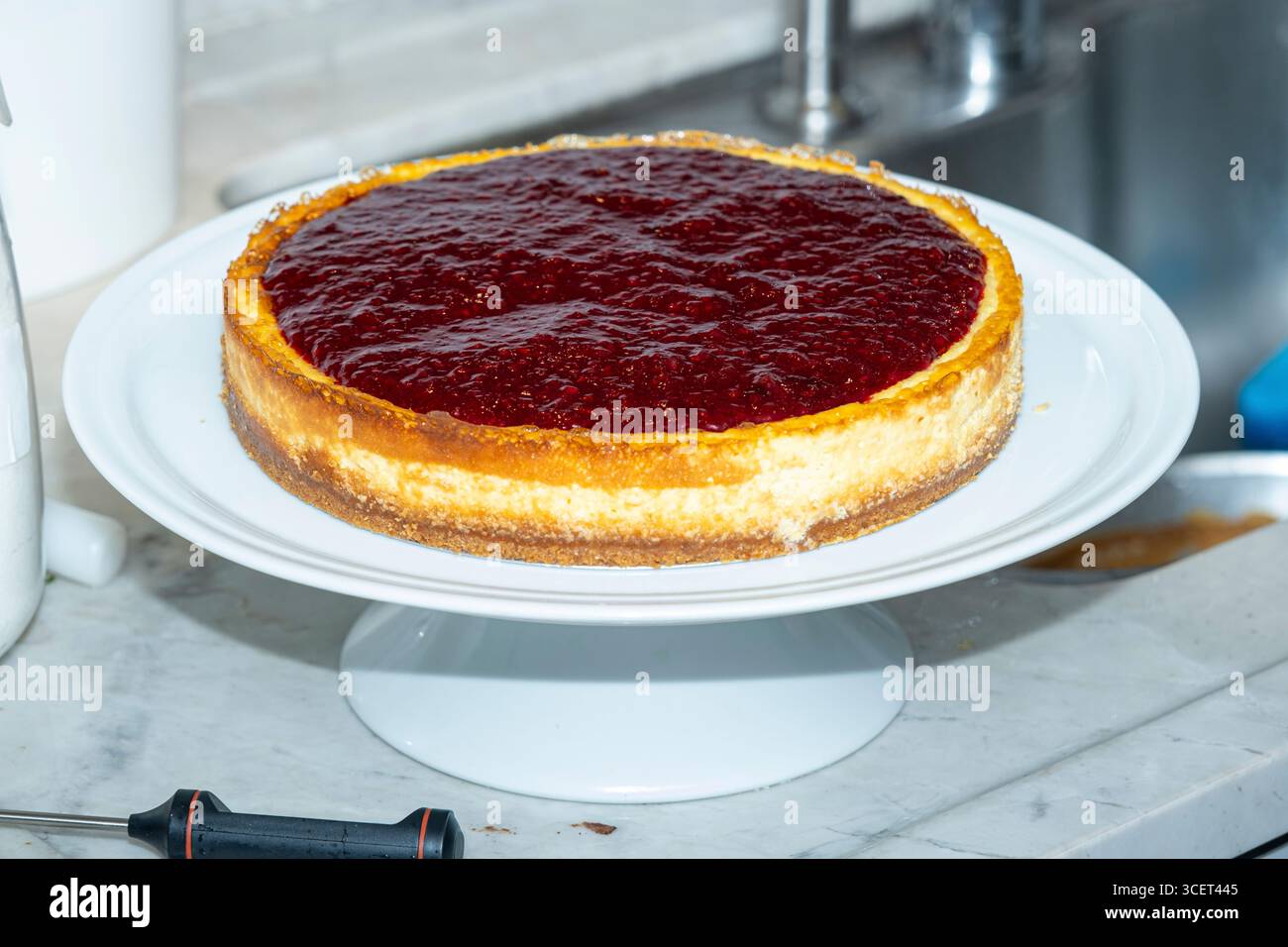 Primo piano di una cheesecake con salsa di frutti di bosco su un piatto. Foto Stock