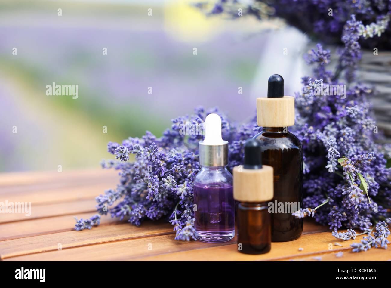 Splendidi fiori di lavanda e bottiglie di oli essenziali su tavola in legno nel campo, primo piano. Spazio per il testo Foto Stock
