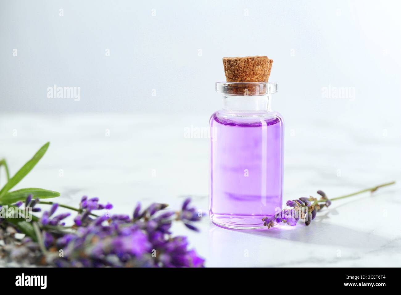 Olio essenziale aromatico in bottiglia e fiori di lavanda su tavolo in marmo bianco su sfondo grigio chiaro, primo piano Foto Stock