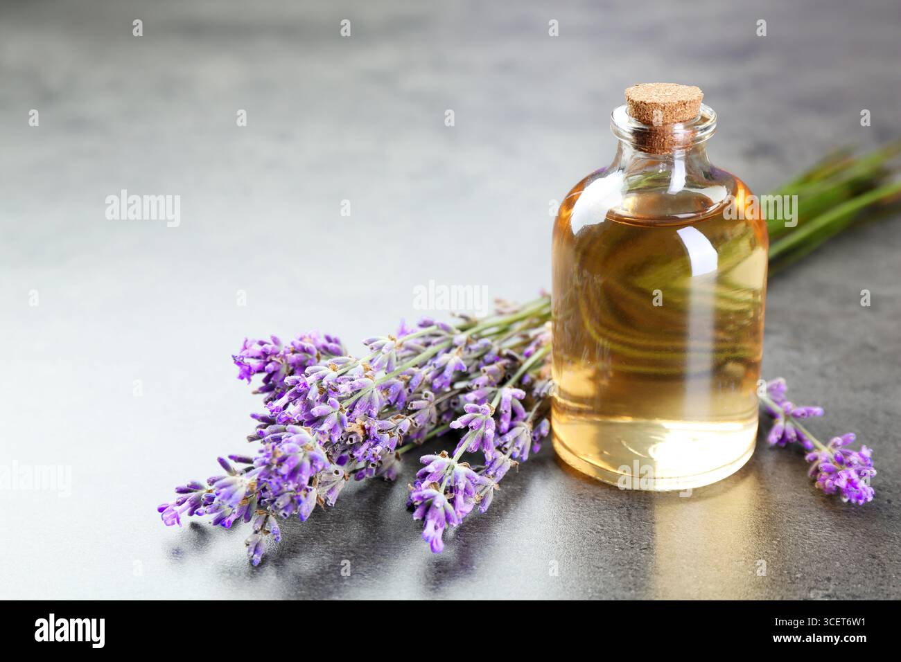 Olio essenziale aromatico in bottiglia e fiori di lavanda su tavola testurizzata grigia, primo piano Foto Stock