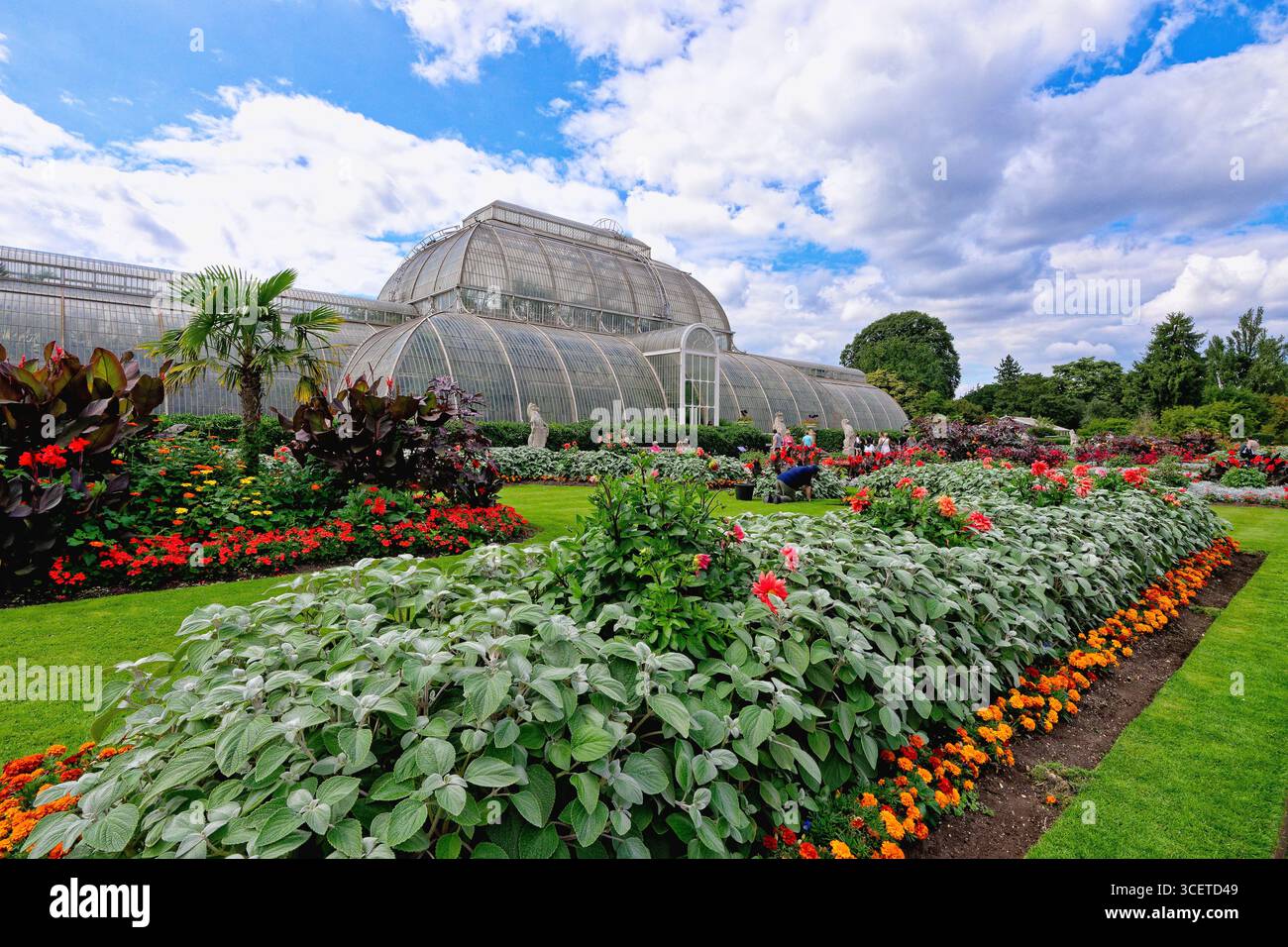 Colorate piante da letto estive in mostra di fronte alla Palm House a Kew Gardens, Londra, Inghilterra Foto Stock
