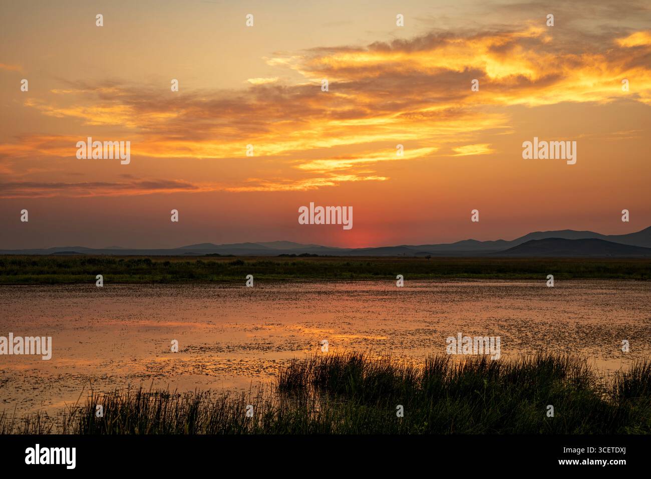 ID00926-00...IDAHO - tramonto nella riserva naturale Camas Prairie Wildlife Conservation area. Foto Stock