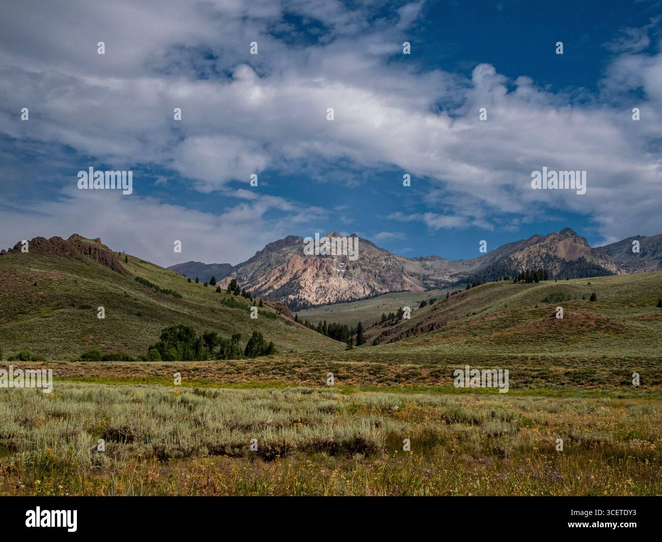 ID00928-00...IDAHO - catena montuosa di Boulder vista dall'Harriman Trail nella Big Wood River Valley. Foto Stock
