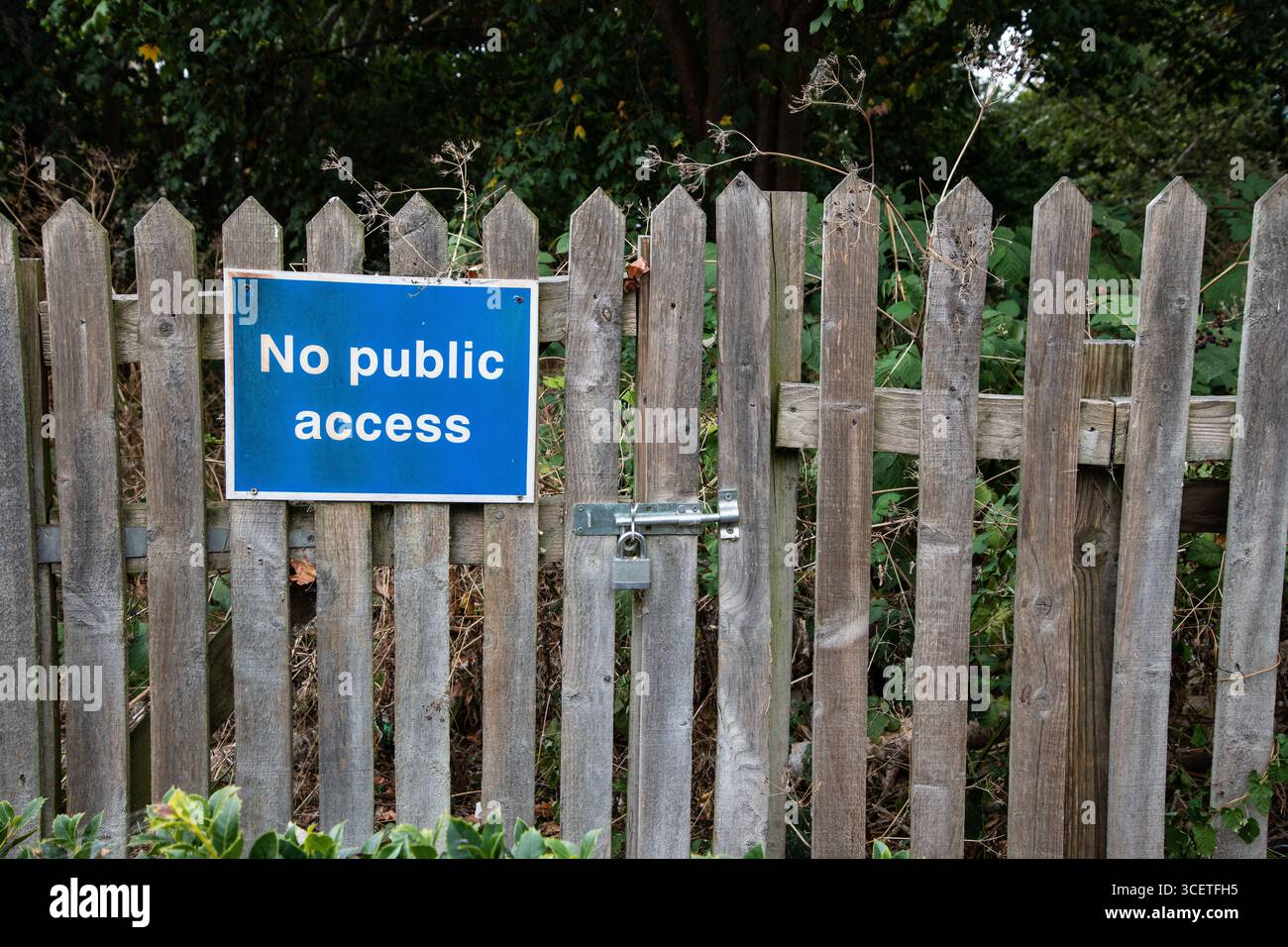 Nessun cartello di accesso pubblico su cancello e recinzione di legno chiusi, con alberi e cespugli dietro. Ingresso limitato, concetto di proprietà privata in ambiente rurale. Foto Stock