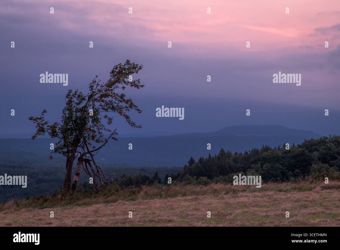 Cielo nuvoloso dell'ora d'oro sulla cima delle montagne di Krusne al mattino nel villaggio di Naklerov Foto Stock