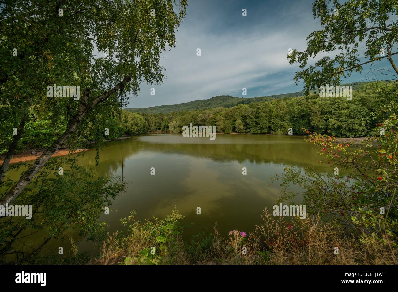 Caldo mattino estivo vicino al lago dopo mne sotto le montagne di Krusne a Varvazov Foto Stock