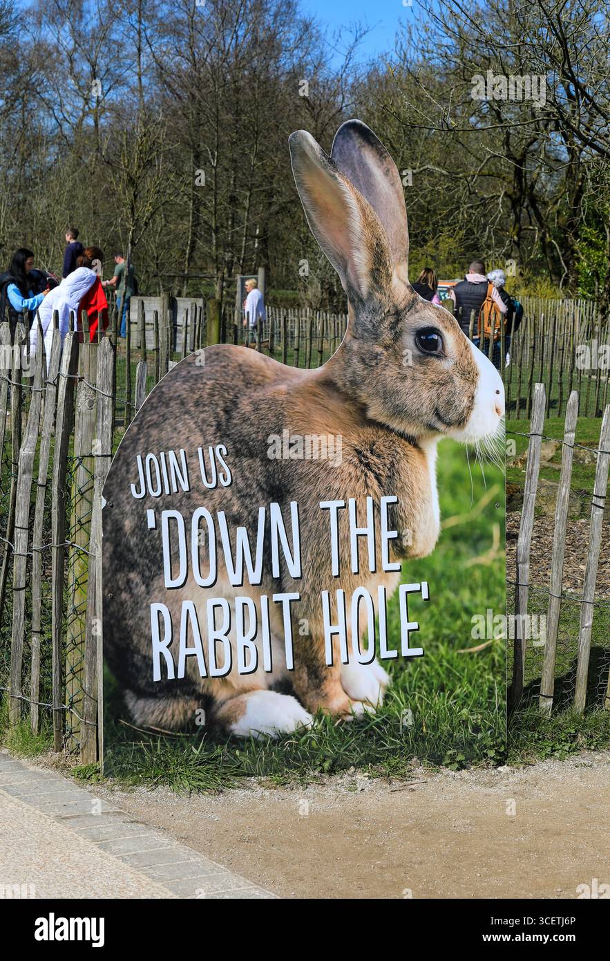 Un cartello con scritto "Unisciti a noi lungo il buco del coniglio" al Peak Wildlife Park, Leek, Staffordshire, Inghilterra, Regno Unito Foto Stock