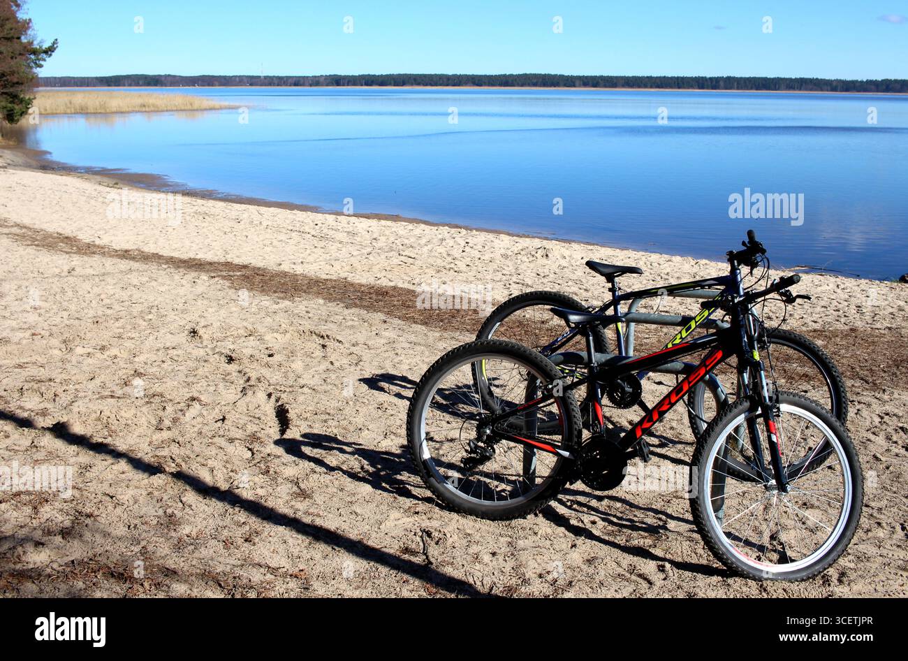 Per essere attivi in campagna: Noleggia biciclette al lago Ķīšezers a Mežaparks, nella periferia di riga, Lettonia, a pochi minuti in autobus dal centro della città Foto Stock
