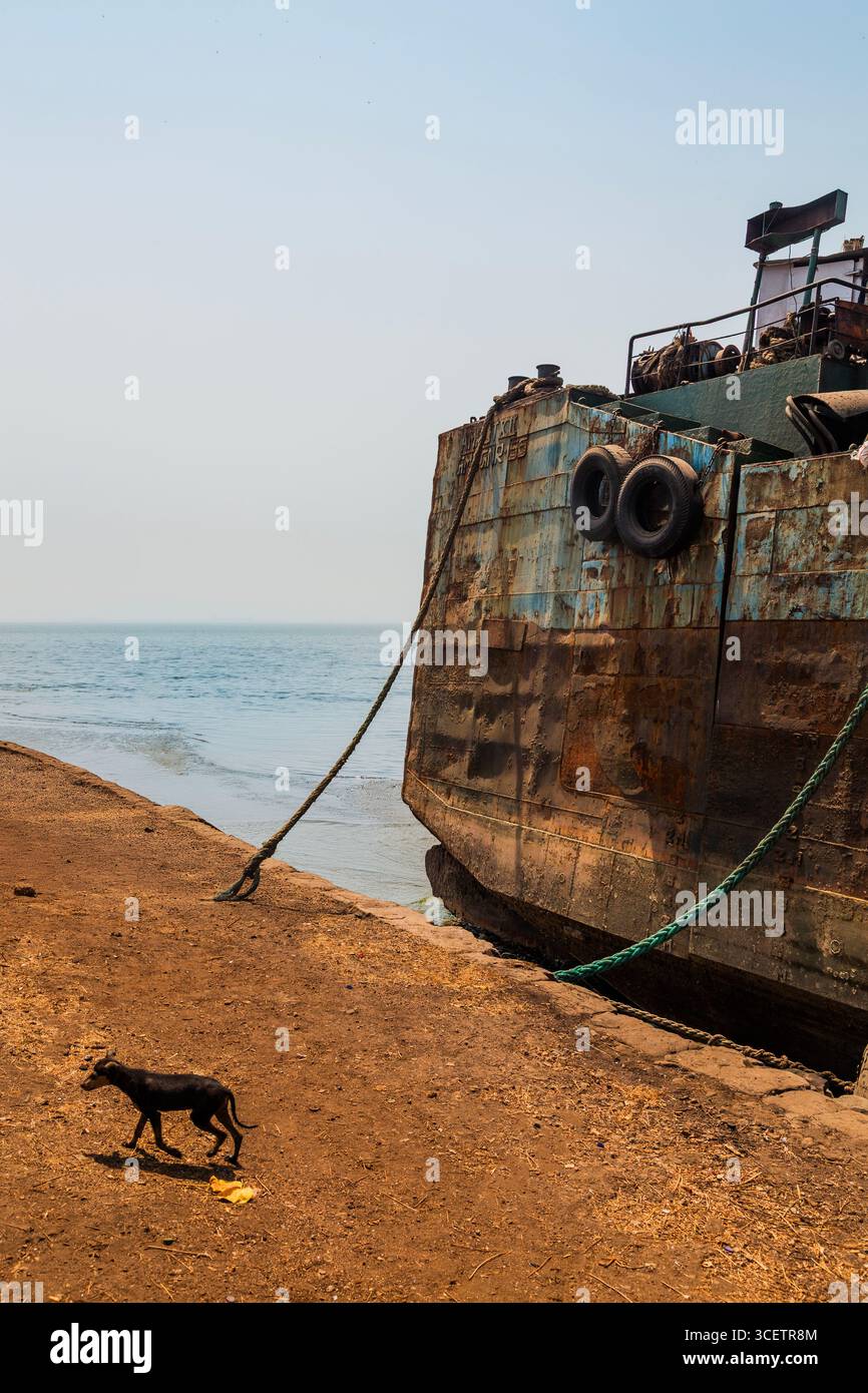 Una nave intemprata attraccata da una costa sabbiosa con corde che si estendono sulla terra; un cane nero solitario cammina lungo la riva sotto un cielo limpido Foto Stock