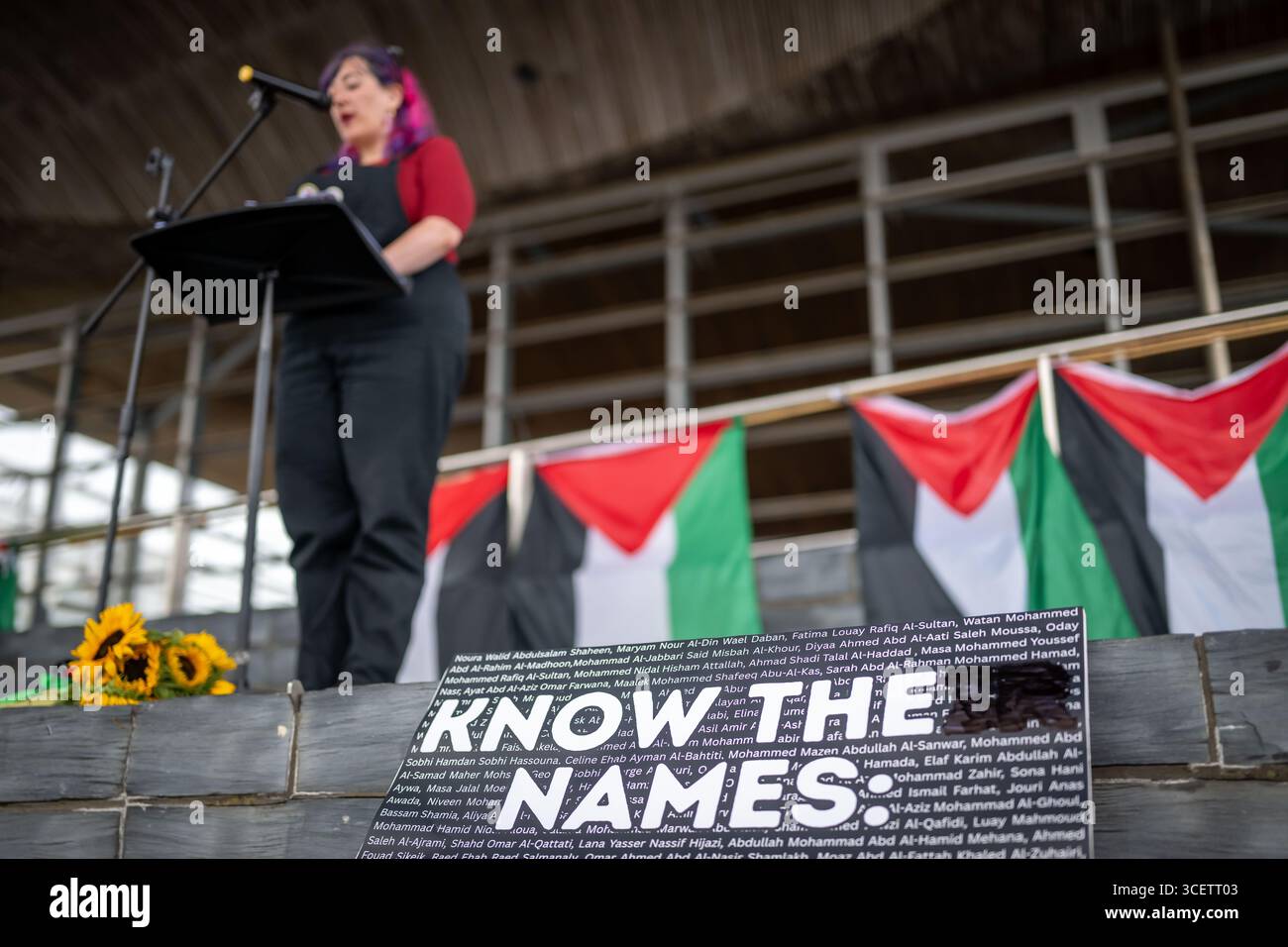 CARDIFF, GALLES - 16 LUGLIO 2025: Una protesta al di fuori del Senedd dove i nomi di 20.000 bambini morti sono stati letti il 16 luglio. Foto Stock