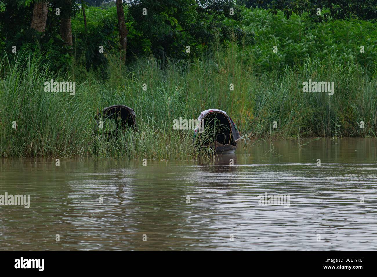 Barca da pesca nascosta in legno parzialmente coperta da erba alta sul fiume bagnato Foto Stock