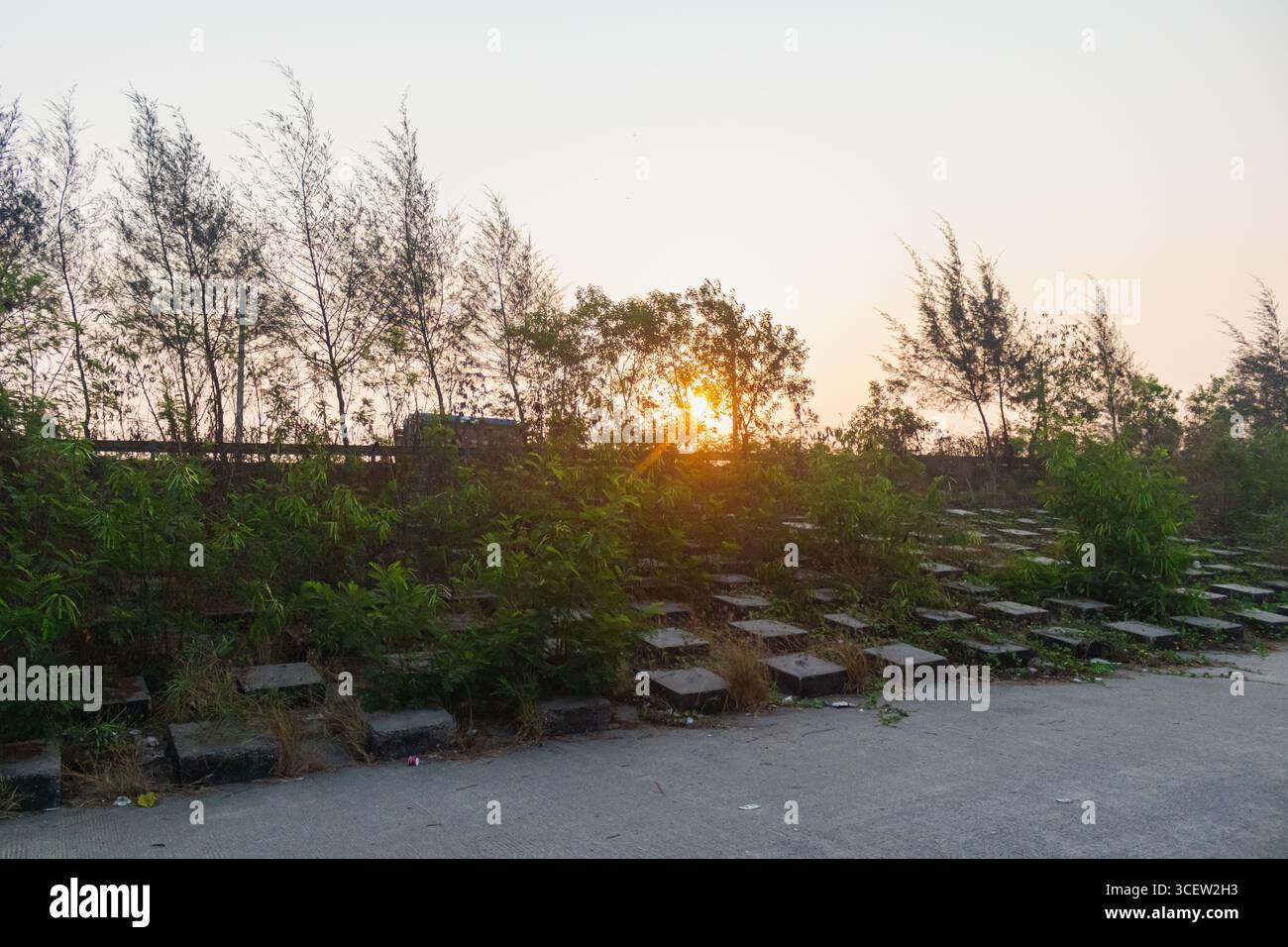 La tranquilla luce serale passa attraverso la fila della foresta sopra i gradini del mare a Chattogram, Bangladesh Foto Stock