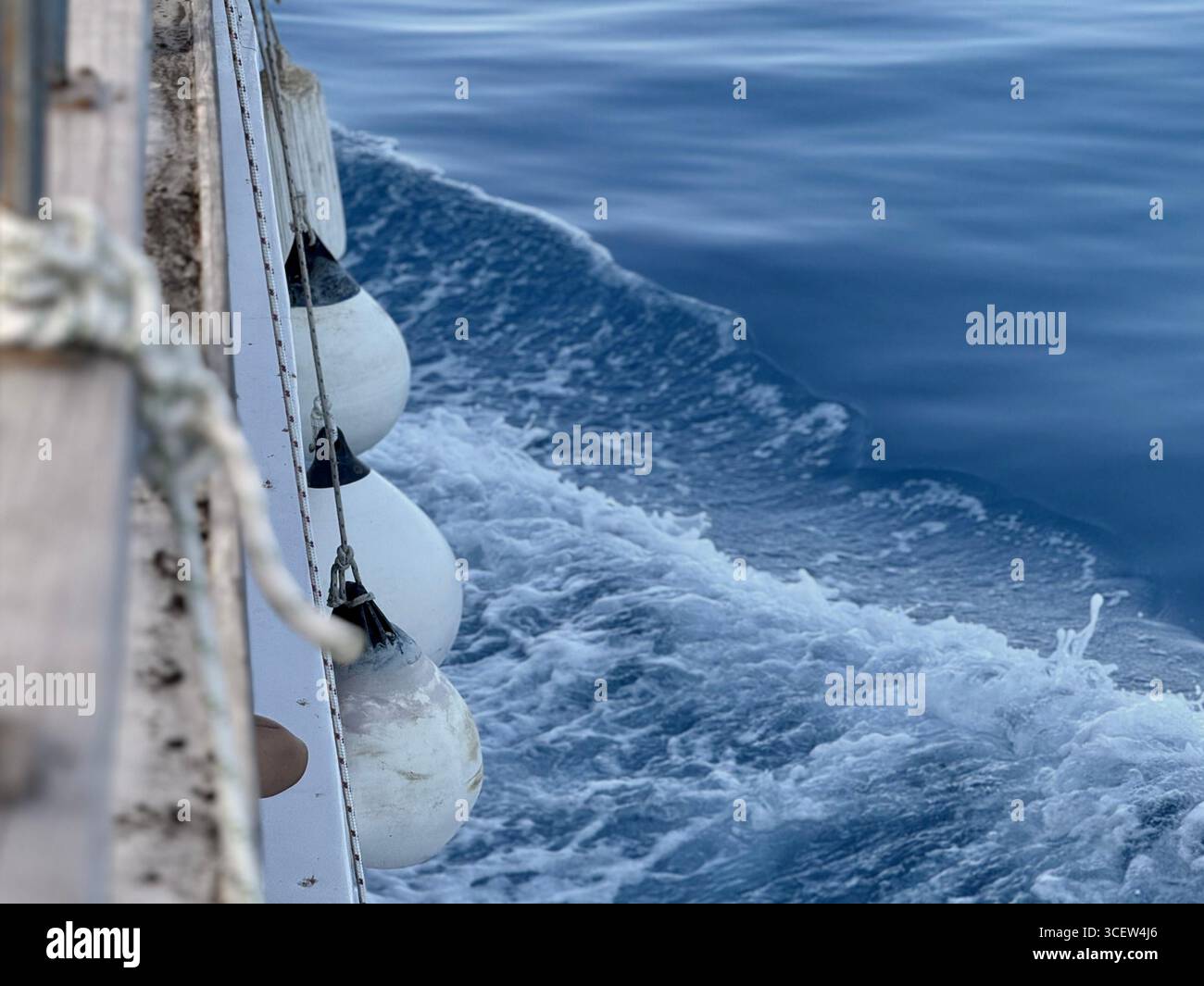 Parafanghi bianchi appesi su una corda lungo il lato di uno yacht per proteggere lo scafo durante l'attracco. Equipaggiamento marittimo per la sicurezza e l'ormeggio - Immagine stock catturata con smartphone