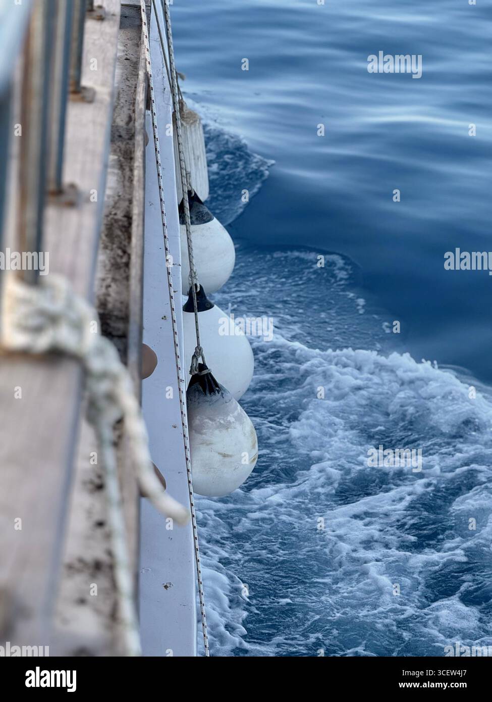 Parafanghi bianchi appesi su una corda lungo il lato di uno yacht per proteggere lo scafo durante l'attracco. Equipaggiamento marittimo per la sicurezza e l'ormeggio - Immagine stock catturata con smartphone