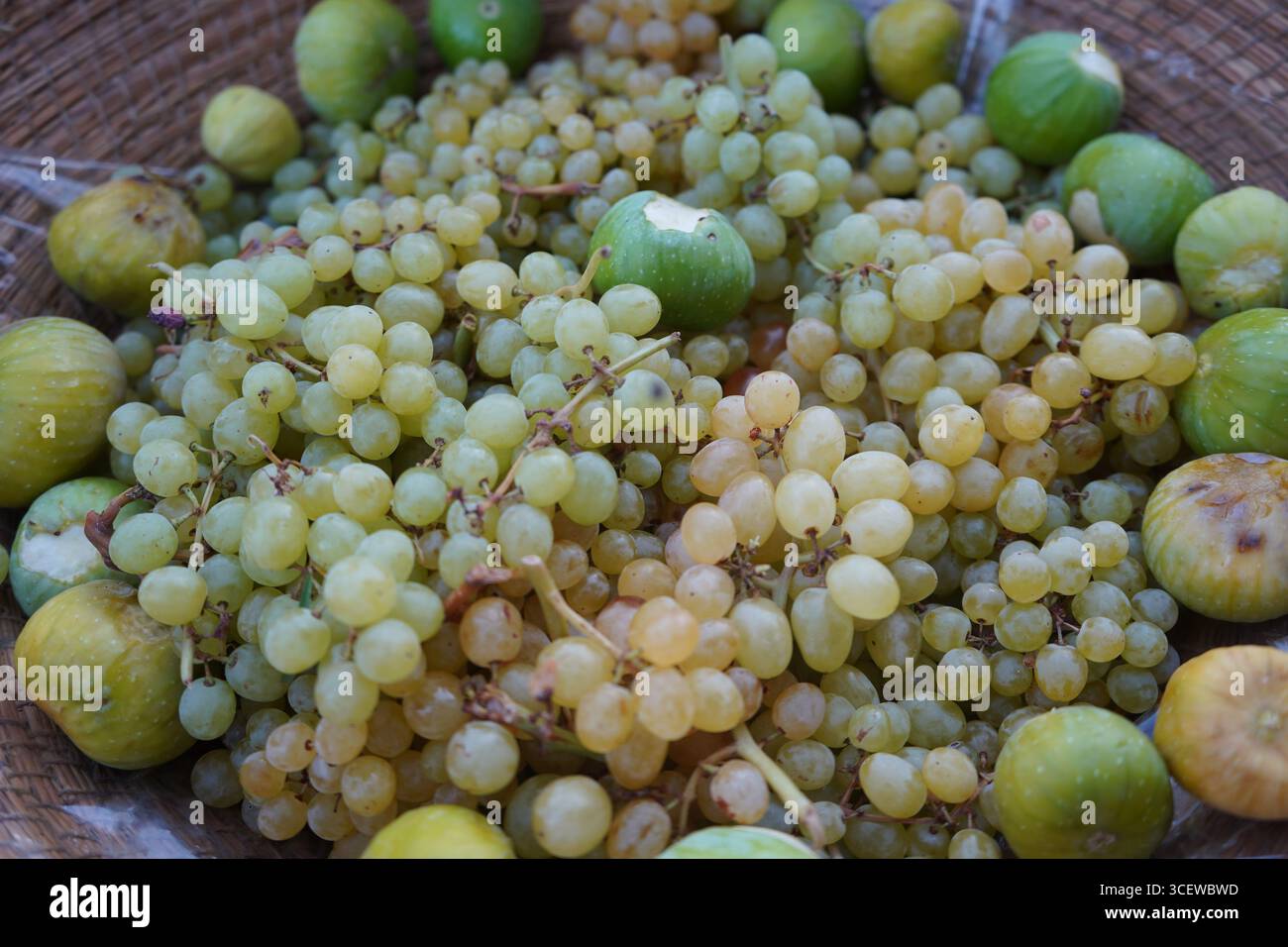 Un'esposizione rustica di uva appena raccolta e fichi succulenti in un cesto intrecciato, che cattura l'essenza della generosa vendemmia estiva a Creta. Foto Stock