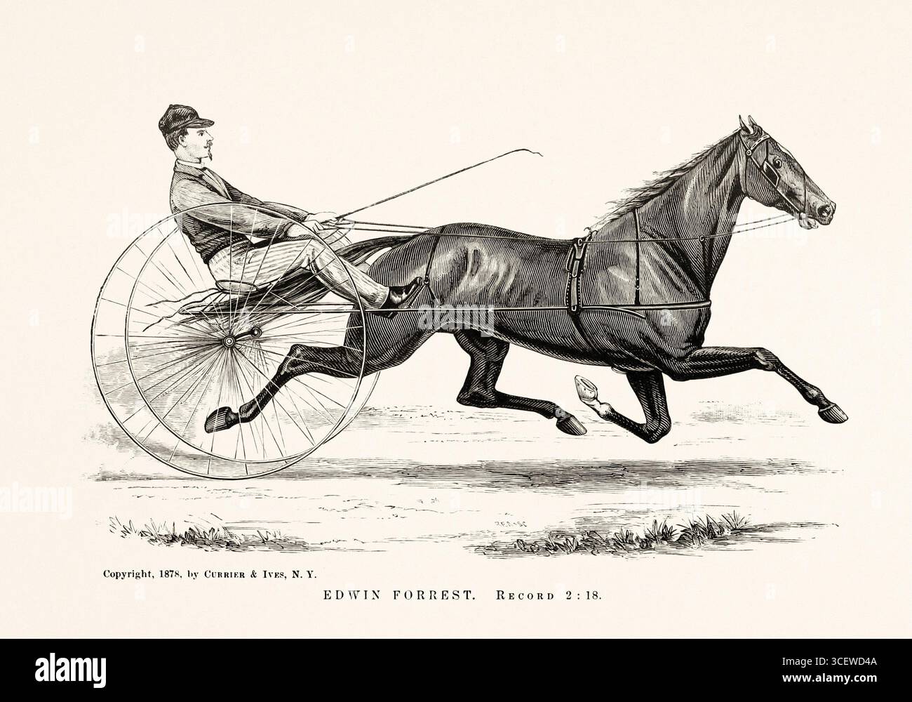 Carrozza trainata da cavalli - illustrazione del cavallo bianco e nero del 1872, da un libro di anatomia, razza e scena equestre. Foto Stock