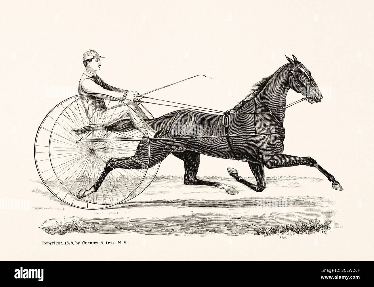 Carrozza trainata da cavalli - illustrazione del cavallo bianco e nero del 1872, da un libro di anatomia, razza e scena equestre. Foto Stock