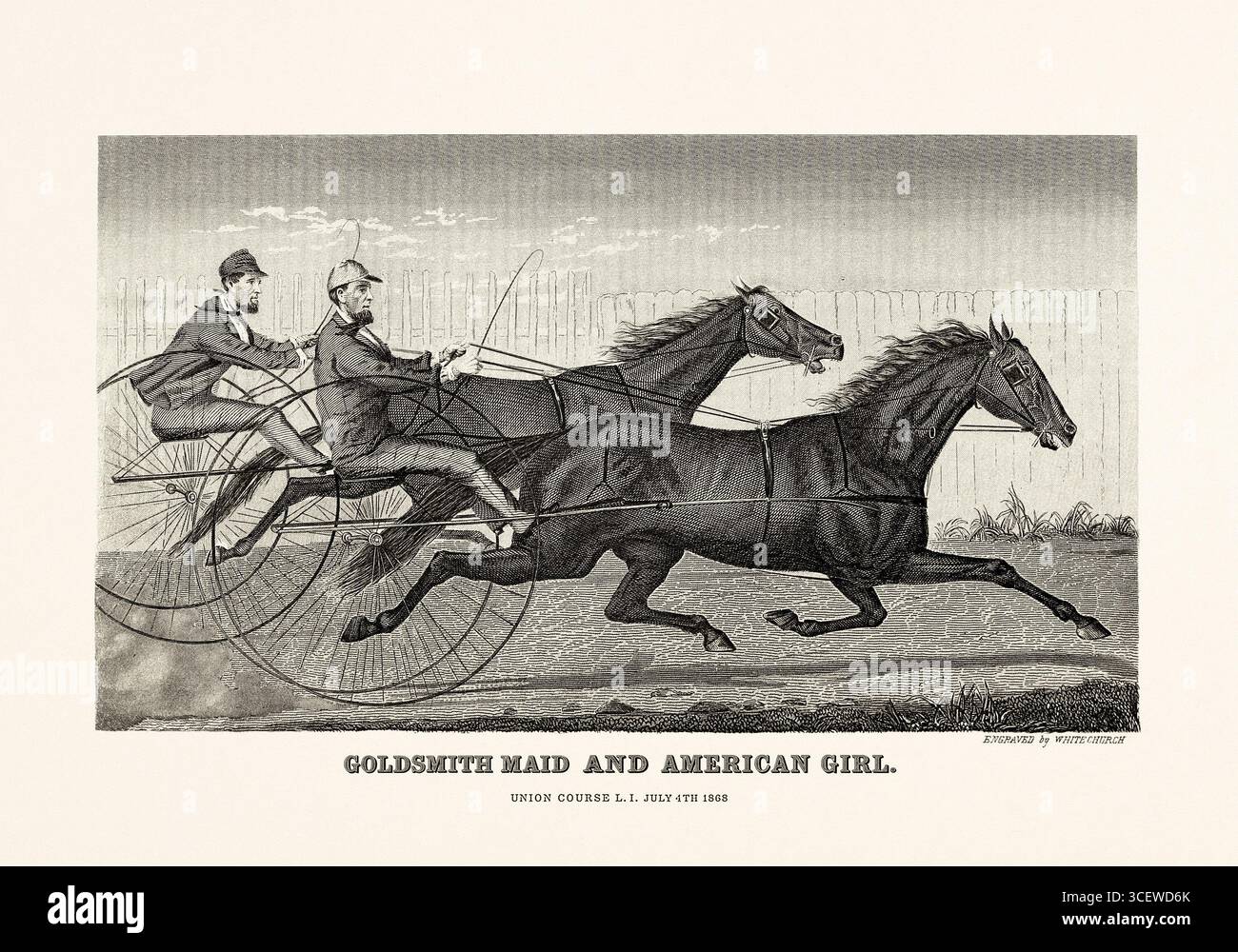 Carrozza trainata da cavalli - illustrazione del cavallo bianco e nero del 1872, da un libro di anatomia, razza e scena equestre. Foto Stock