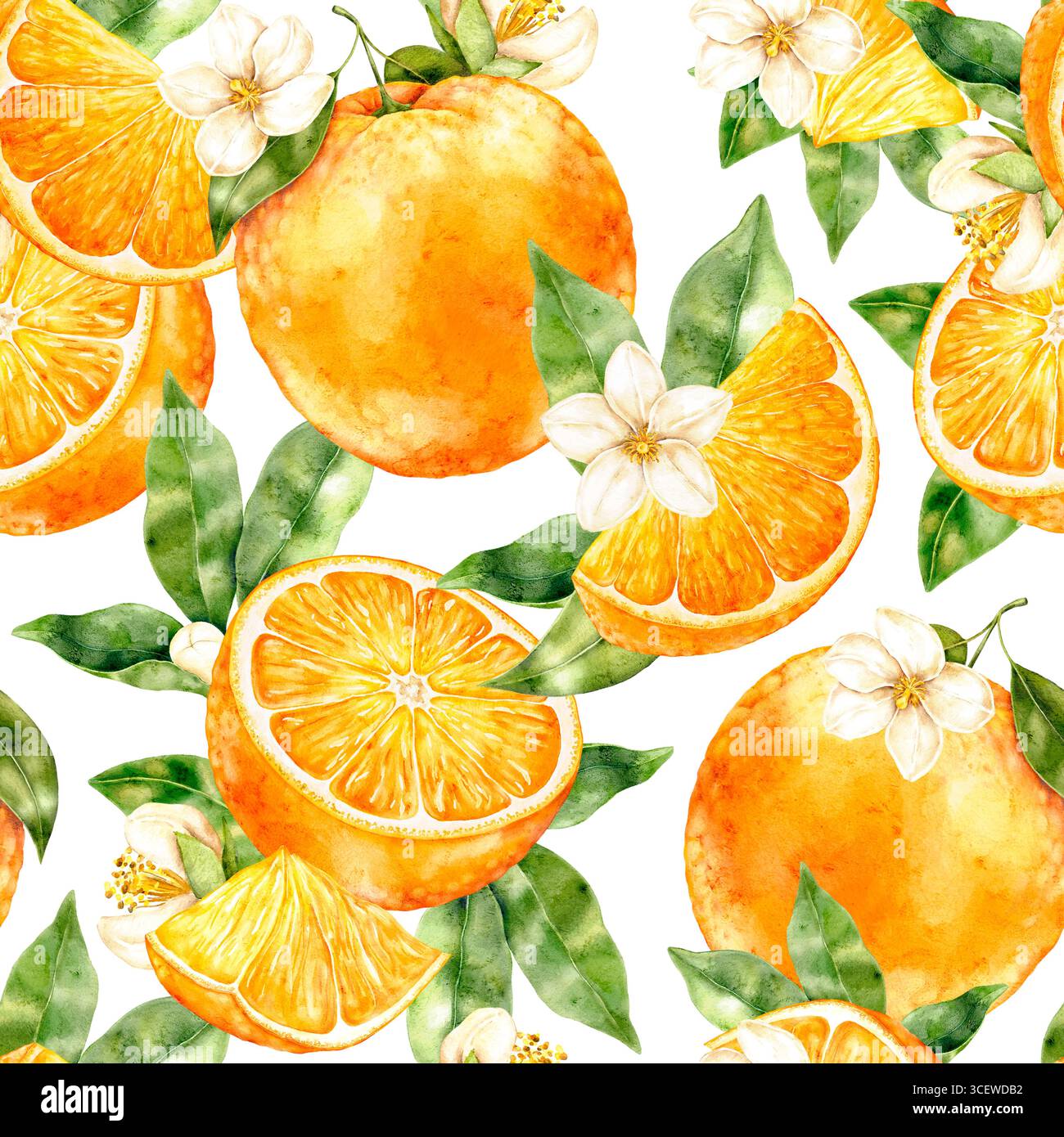 Motivo acquerello senza cuciture con arance, fette, fiori e foglie verdi su sfondo bianco. Agrumi tropicali luminosi per tessuti, carta da imballaggio, k Foto Stock