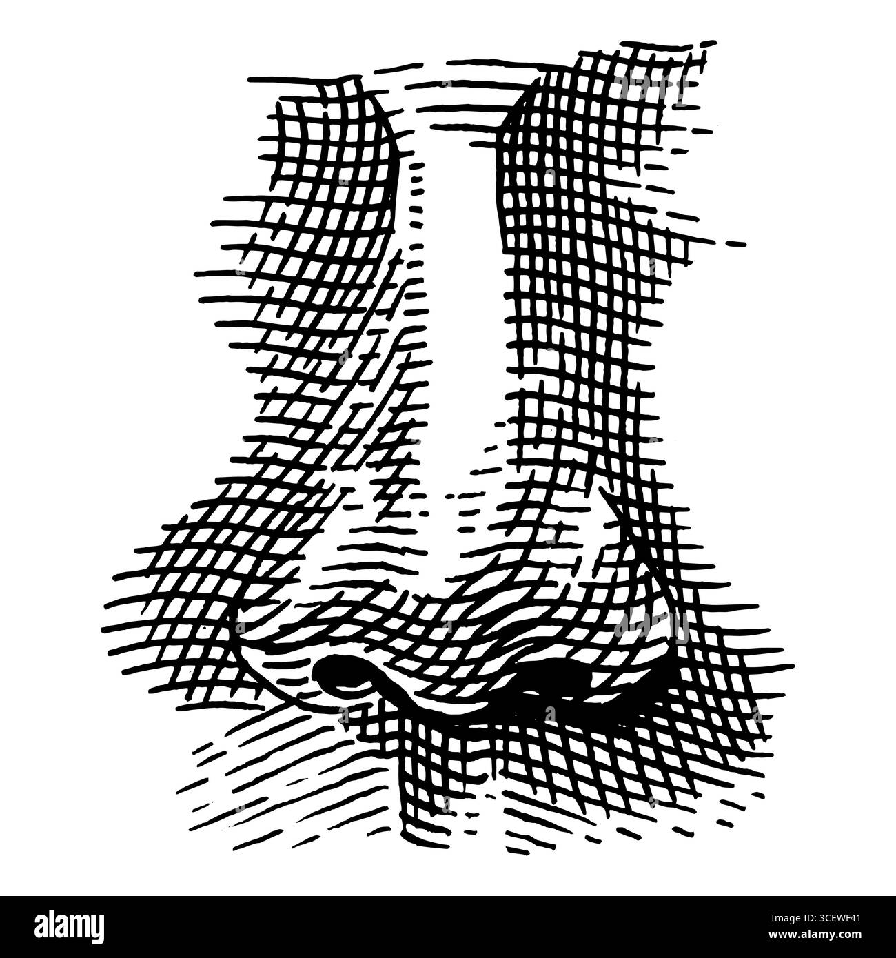 Naso umano. Illustrazione disegnata a mano di un organo uditivo umano per la medicina. Incisione dell'illustrazione dell'anatomia. Illustrazione vettoriale Illustrazione Vettoriale