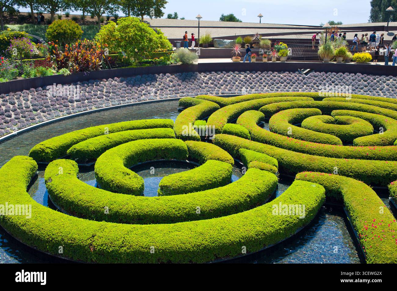 Labirinto di siepi in stagno nel giardino centrale del Getty Center di Los Angeles, California, Stati Uniti d'America Foto Stock
