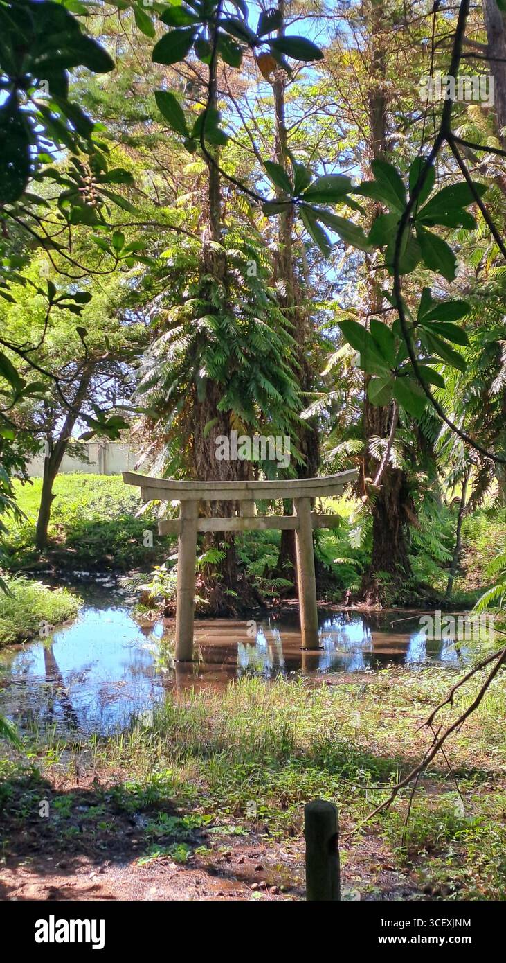 Tradizionale porta torii giapponese circondata da vegetazione lussureggiante e riflessa in uno stagno presso i Giardini giapponesi di Durban, Sud Africa Foto Stock