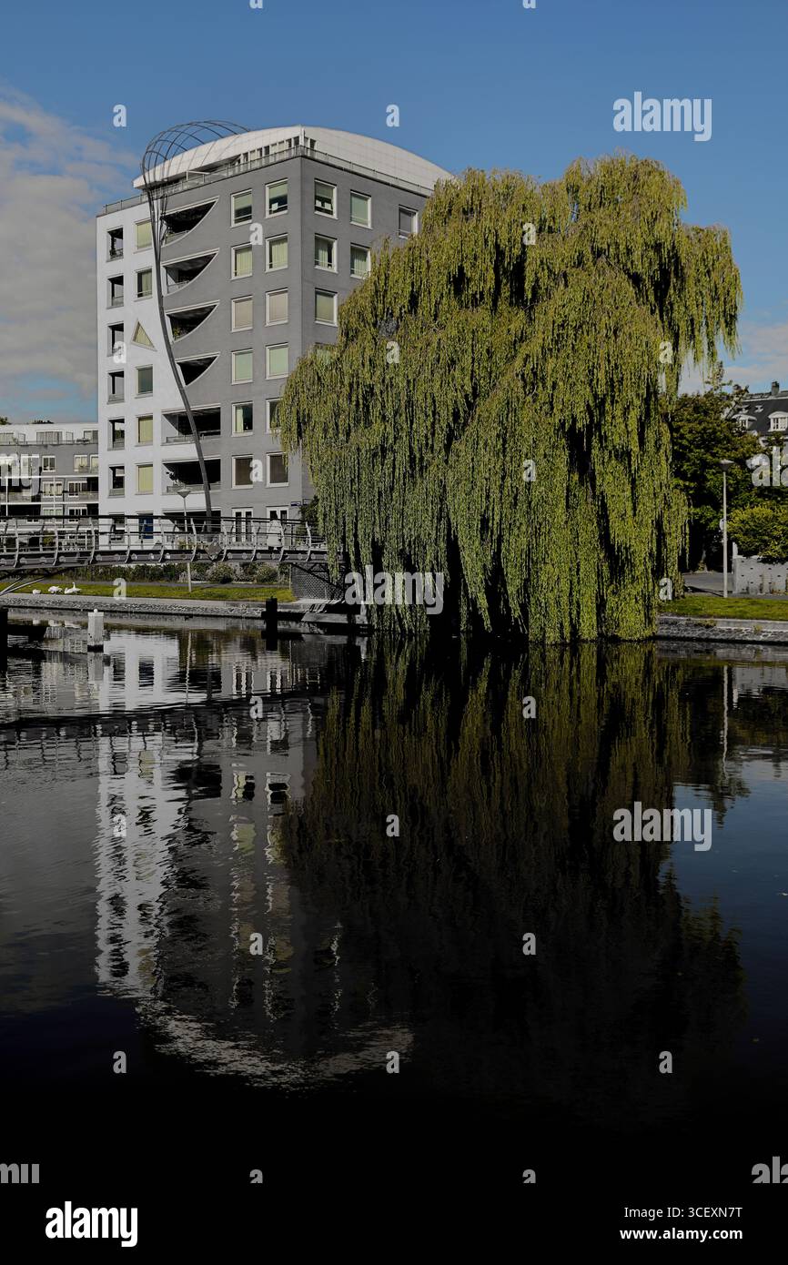 Ponte pedonale rosso su un canale tranquillo accanto agli appartamenti e un grande salice piangente, riflessi alla luce del giorno in una zona residenziale di Amsterdam. Foto Stock
