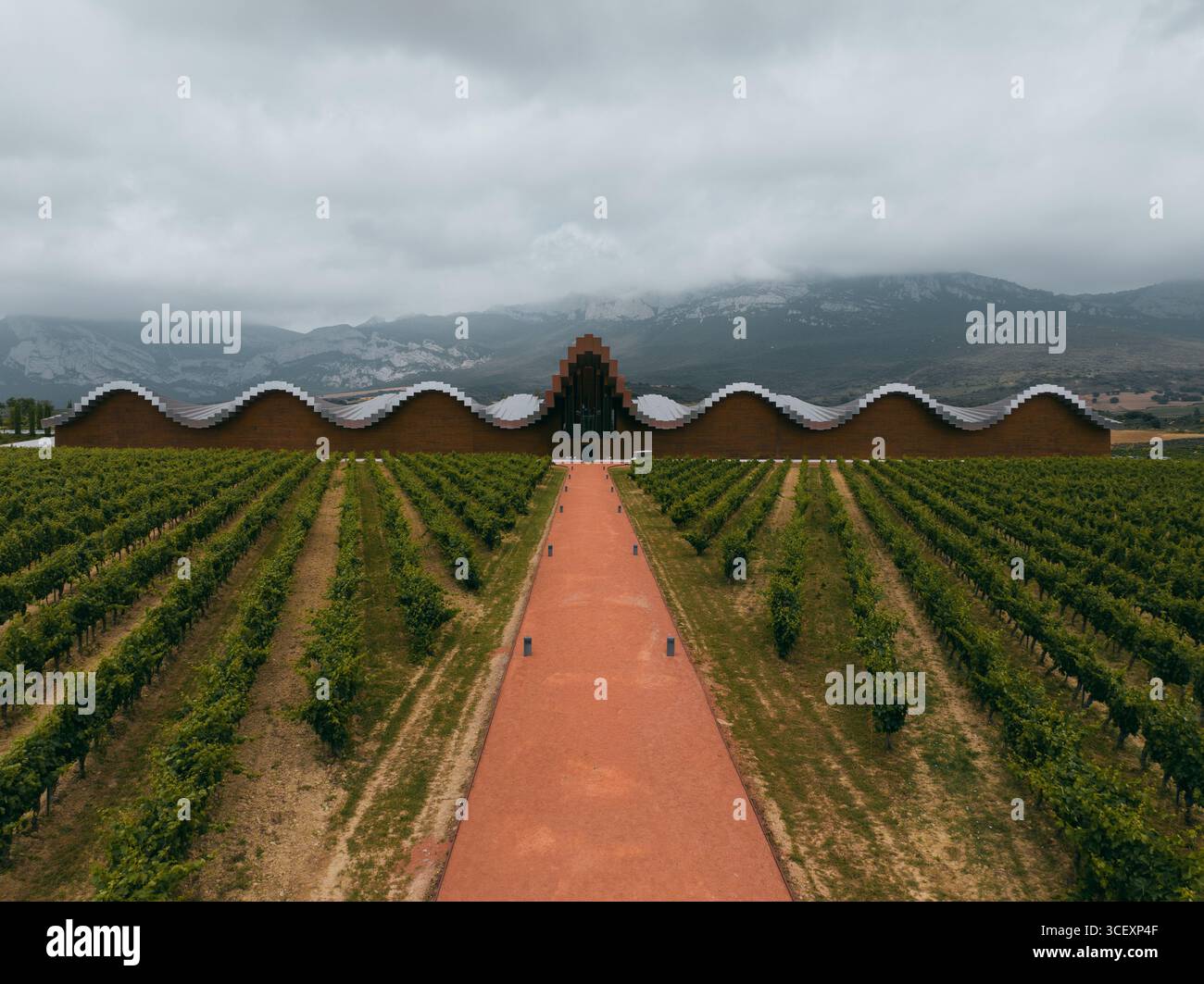 La vista aerea dell'impressionante architettura a onde della cantina Bodegas Ysios emerge dai vigneti verdeggianti sotto un cielo nuvoloso, Bodegas Ysios, Euskadi, Spagna. Foto Stock