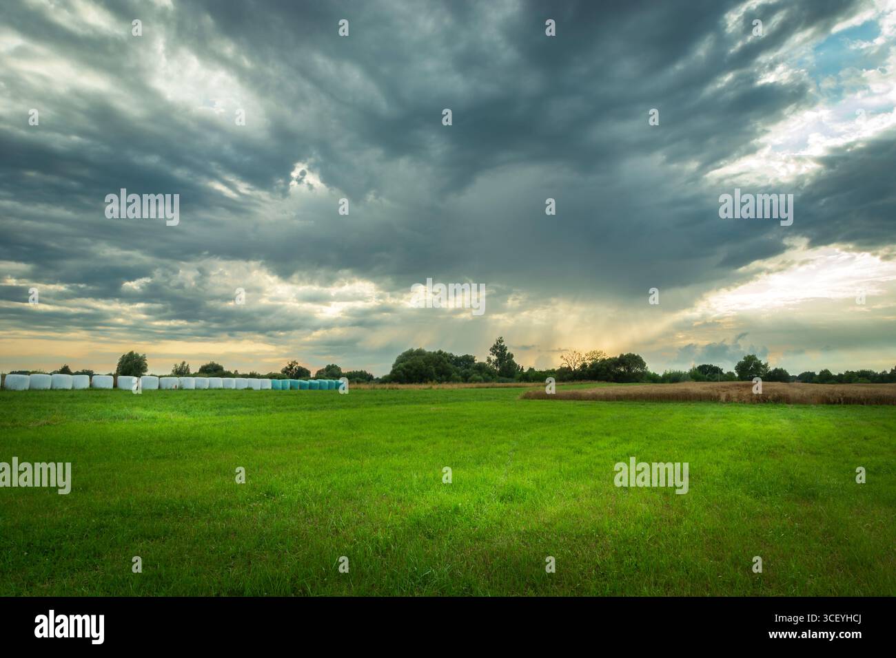 Una vista rurale di nuvole grigie piovose su un grande prato verde in un giorno d'estate. Foto Stock