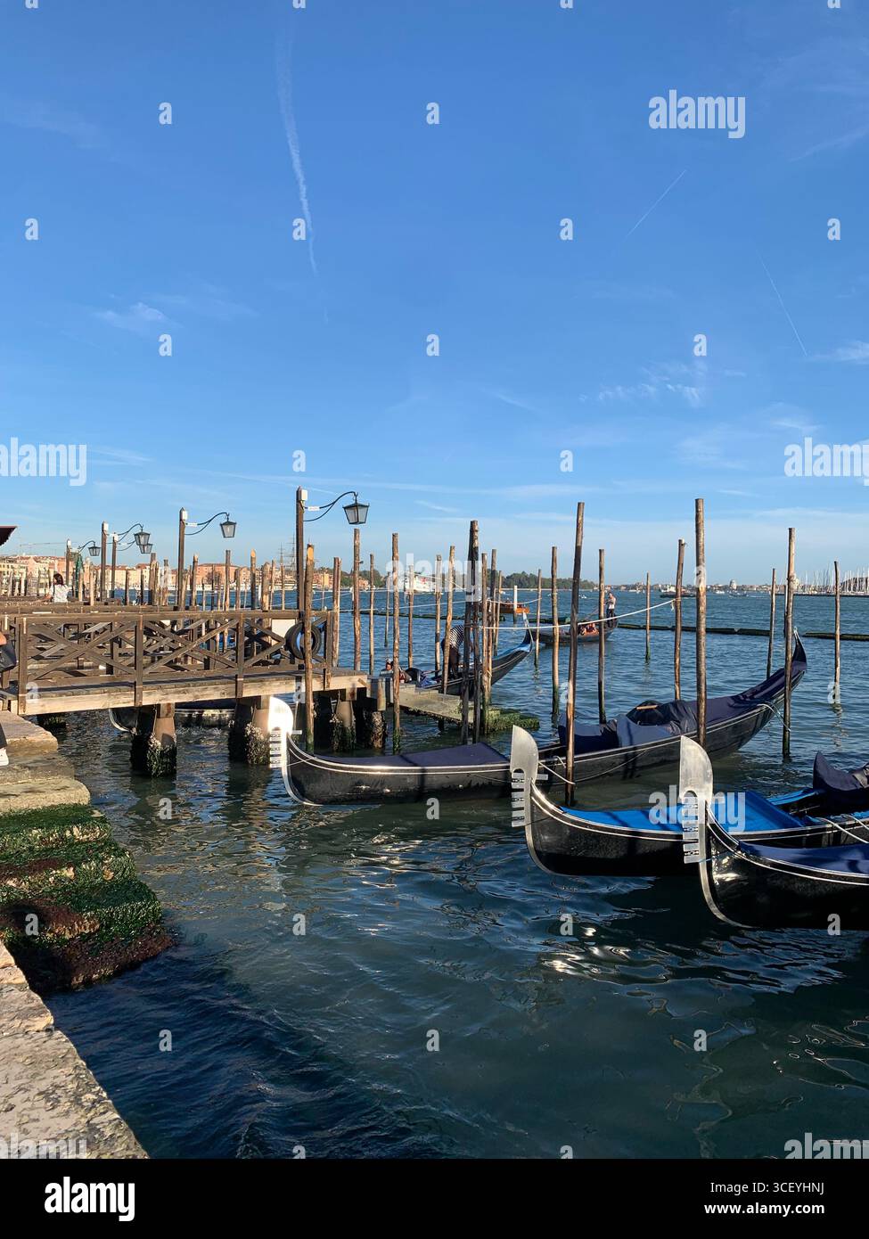 Venezia autunnale, gondole blu, vista dalla gondola blu sul Canal grande, splendida architettura, ispirazione. Foto Stock
