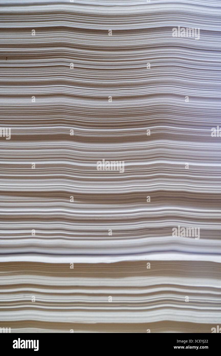 Una rappresentazione artistica di linee fluide e texture intricate in sfumature delicate e neutre che si fondono armoniosamente Foto Stock