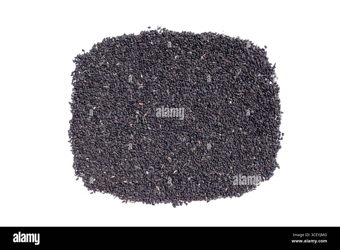 Black Cumin Seeds Kalonji Nigella Sativa isolato su sfondo bianco Foto Stock