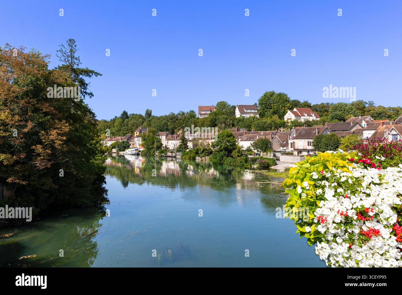 Il fiume Loing, Nemours, Seine-et-Marne, Île-de-France, Francia Foto Stock
